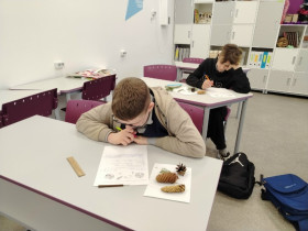 Точка роста.