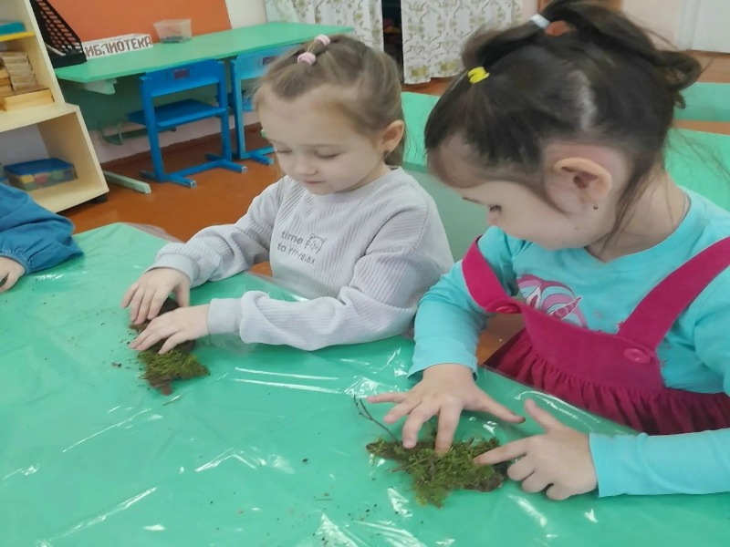 Тайны хлопкового волокна: путешествие от растения к ткани.